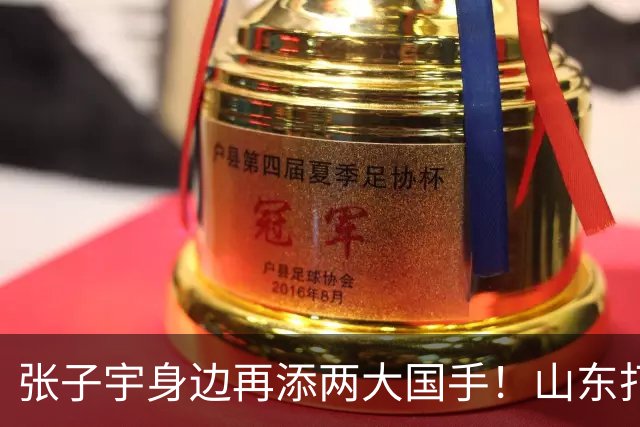 张子宇身边再添两大国手！山东打造豪华阵容，新赛季有望冲总冠军